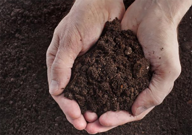 土壤檢測(cè)方法主要有哪些